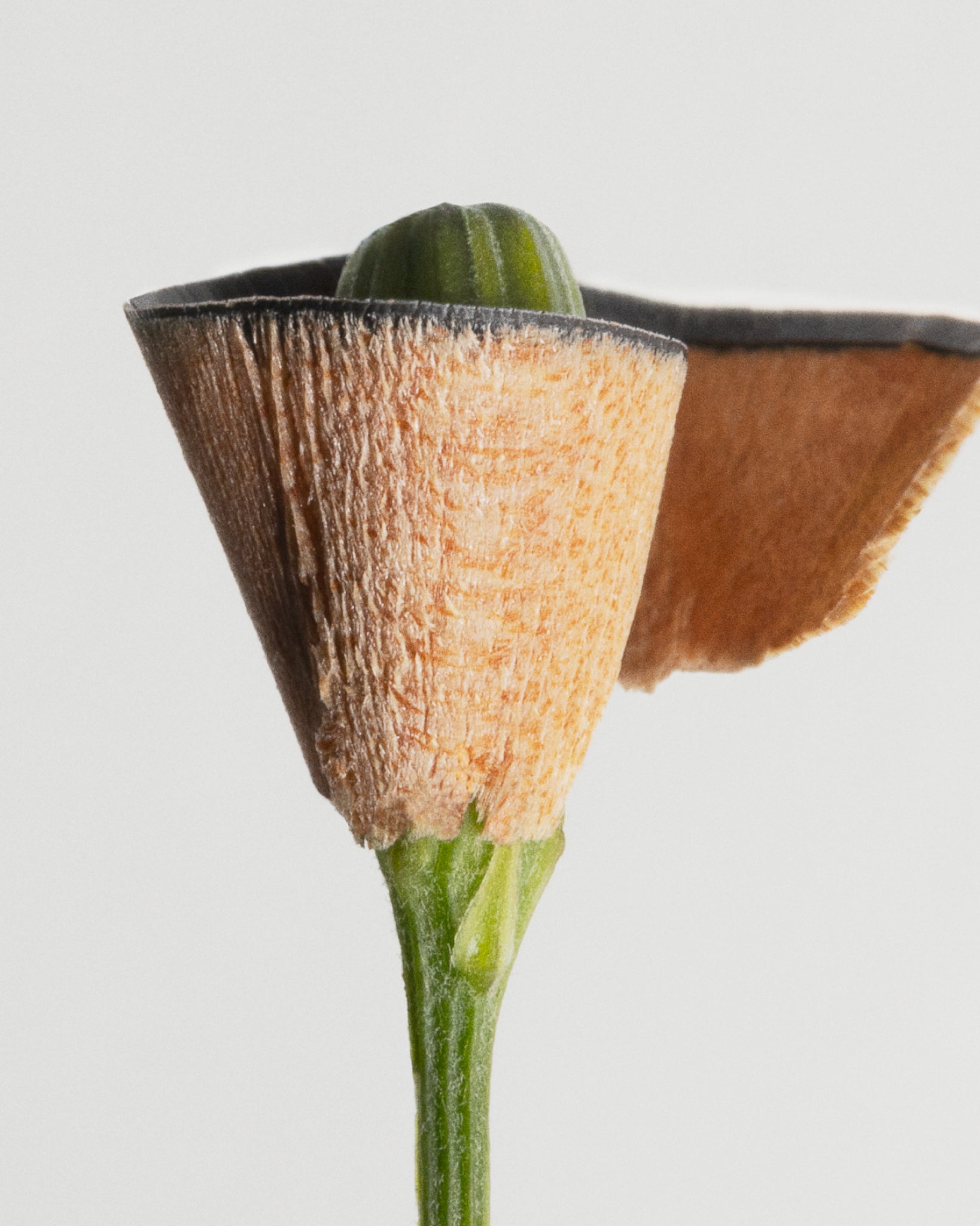 MÁDARA Organic Skincare natural certified eye pencil A6881 eye contour care product photo on plain background.